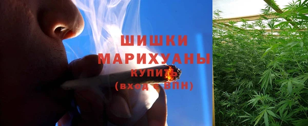 ешки Няндома