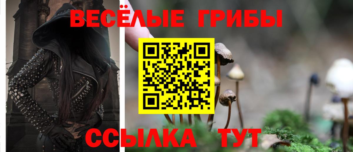 Галлюциногенные грибы Magic Shrooms  Вход с VPN  Рославль 
